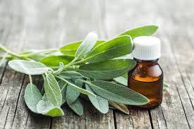 تصویر 4 از فروش عمده مریم گلی خشک‌ شده مرغوب + قیمت به‌ روز و کیفیت تضمینی